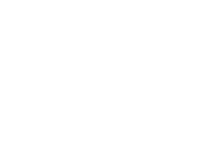 Inline version of the RMPL Litigation official logo in black and white.